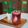 Купить Набор для коктейля tropical party в Астане и по всему Казахстану.Набор для коктейля tropical party, изображение 4