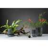 Купить Горшок цветочный серого цвета из коллекции edge, 1,2 л в Астане и по всему Казахстану.Горшок цветочный серого цвета из коллекции edge, 1,2 л, изображение 3