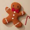 Купить Подушка вязаная classy gingerbread из коллекции new year essential, 40х50 см в Астане и по всему Казахстану.Подушка вязаная classy gingerbread из коллекции new year essential, 40х50 см, изображение 2
