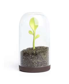 Купить Контейнер для сыпучих продуктов sprout jar в Астане и по всему Казахстану.Контейнер для сыпучих продуктов sprout jar