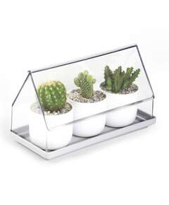 Купить Лоток для выращивания растений micro green house, прозрачный в Астане и по всему Казахстану.Лоток для выращивания растений micro green house, прозрачный