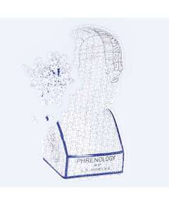 Купить Пазл phrenology в Астане и по всему Казахстану.Пазл phrenology