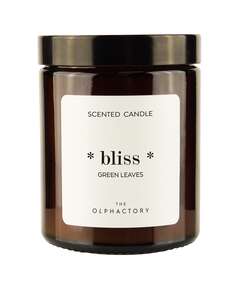 Купить Свеча ароматическая the olphactory, bliss, green rhubarb, 30 ч в Астане и по всему Казахстану.Свеча ароматическая the olphactory, bliss, green rhubarb, 30 ч